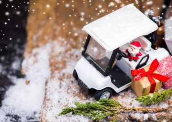 gifts for golf cart owners